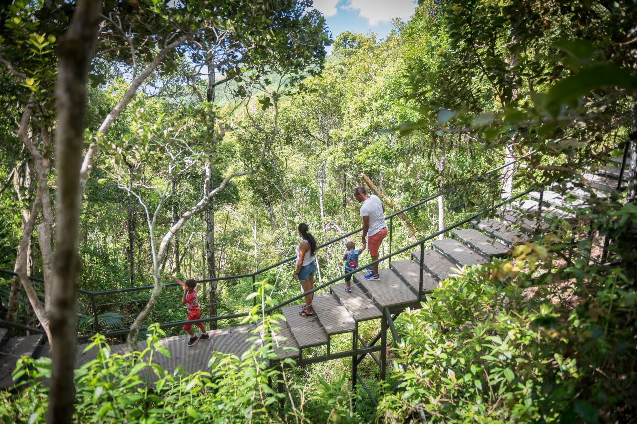 Ebony Forest, a sanctuary of fauna and flora -Mauritius